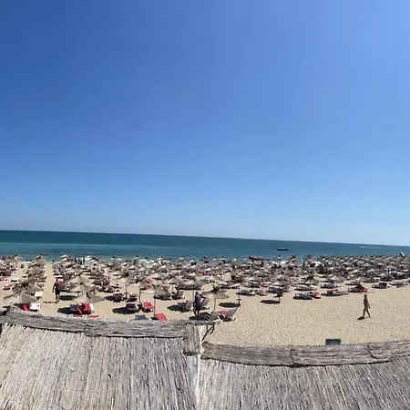 Sh Dolce Mare